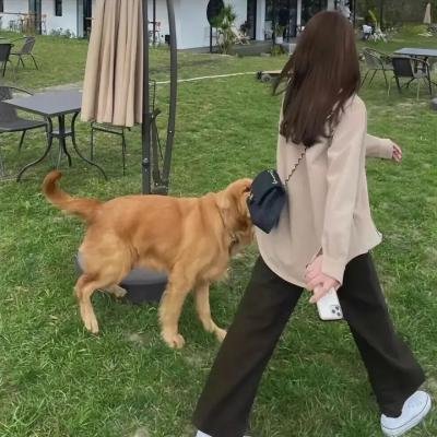 滚蛋吧! 肿瘤君